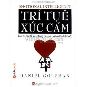 Trí tuệ xúc cảm